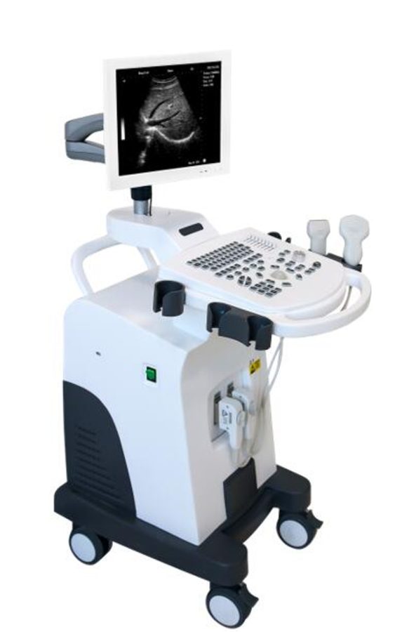 Digital Ultrasound Scanner AM-K2 B/W - Apicalmed